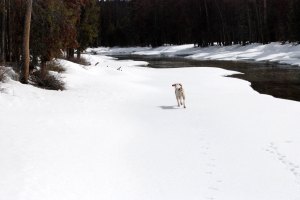 She likes running on snow